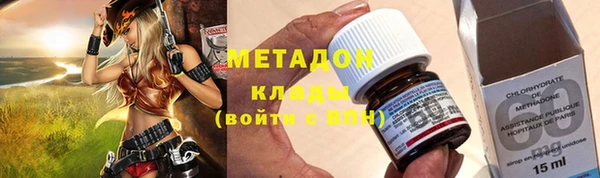 индика Белокуриха