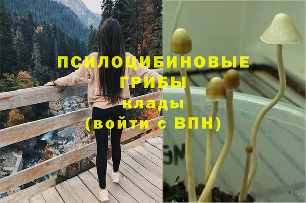 стафф Беломорск