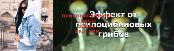 стафф Беломорск
