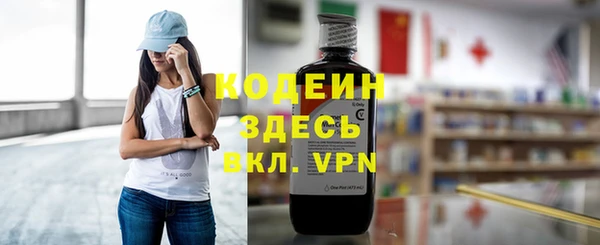 индика Белокуриха