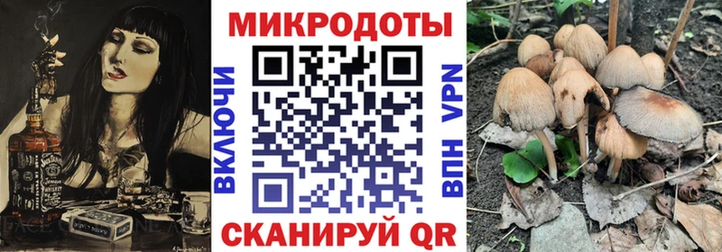 мориарти наркотические препараты  наркотики  Бородино  Псилоцибиновые грибы прущие грибы 