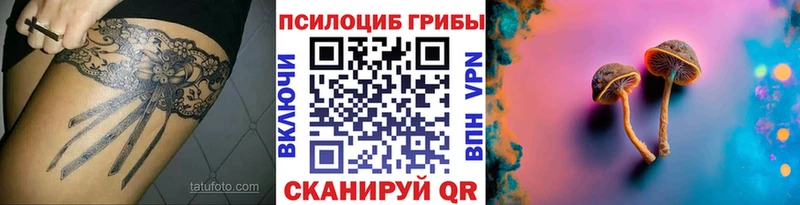 Псилоцибиновые грибы мицелий Бородино